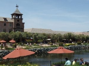 Virus Removal near El Dorado Hills