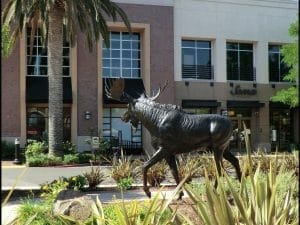 Managed IT Services Provider Roseville