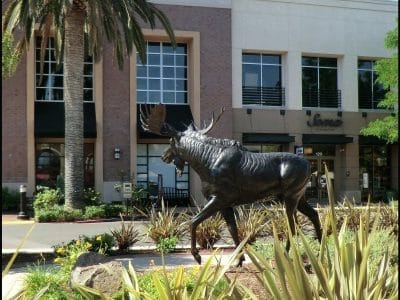 Tech Support near Roseville